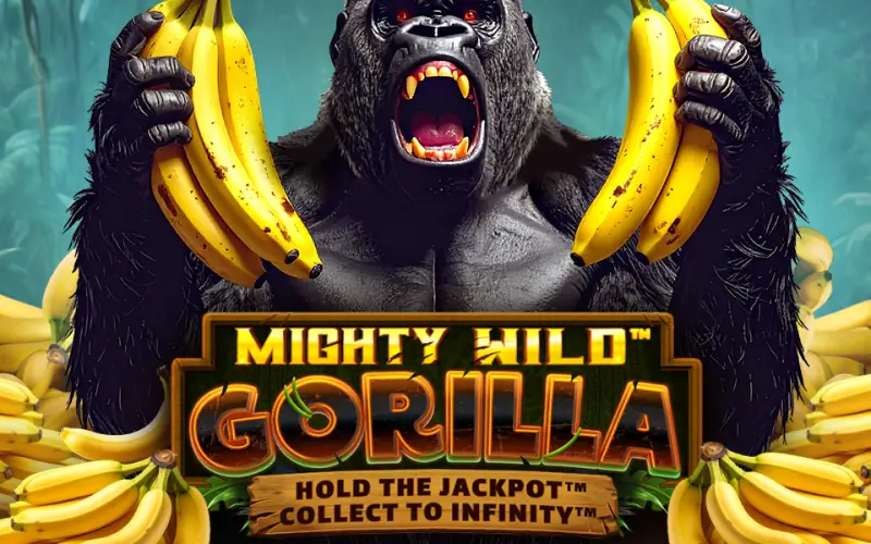 Encounter the Mighty Wild Gorilla and win big rewards at QueenSpins.