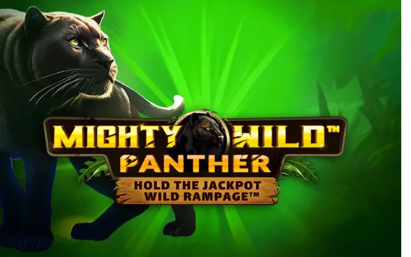 Unleash the power of Mighty Wild Panther on the QueenSpins site.